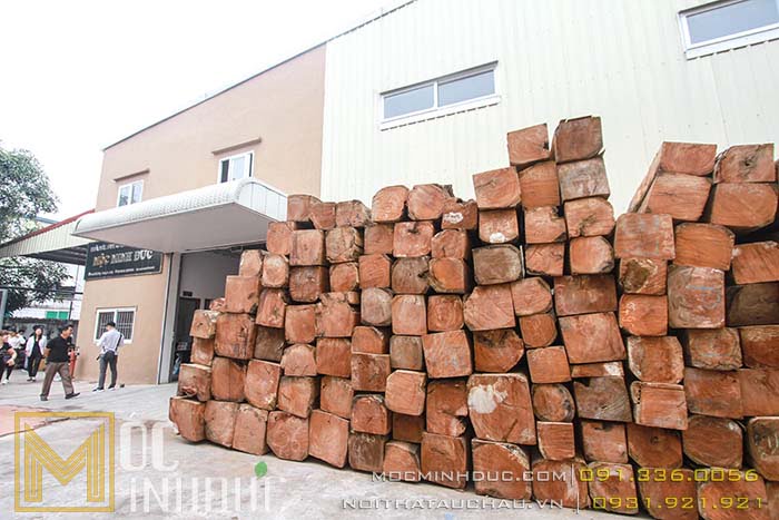 Tập kết gỗ tự nhiên tại nhà máy Mộc Minh Đức