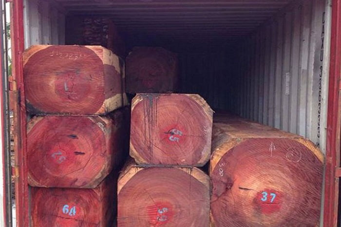 Tìm hiểu về loại gỗ hương Nam Phi