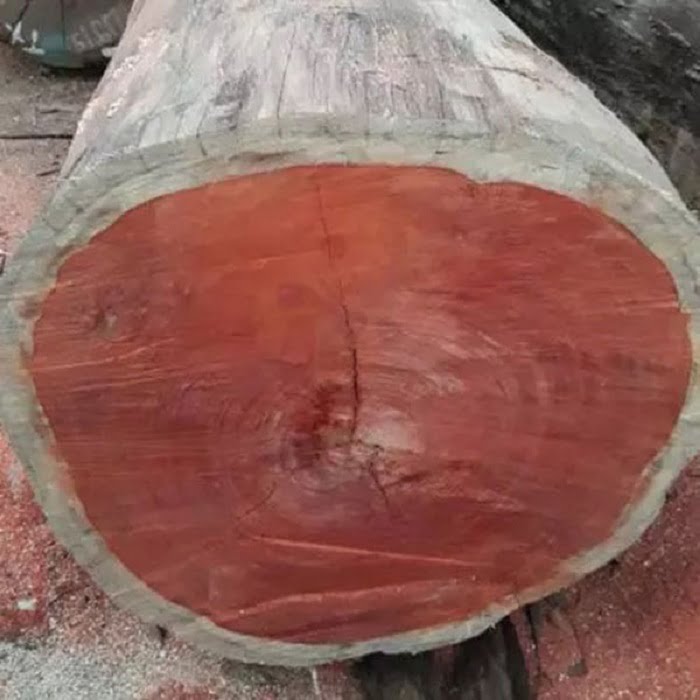 Kích thước gỗ tác động lên mức giá của
